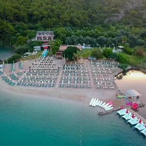 Hotel S3 Seahorse Club
